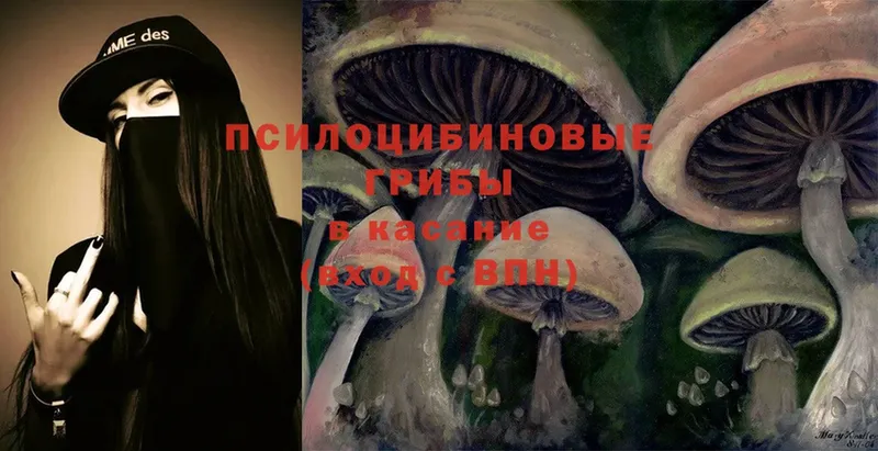 мега ссылки  Клин  Псилоцибиновые грибы Psilocybe  даркнет сайт 